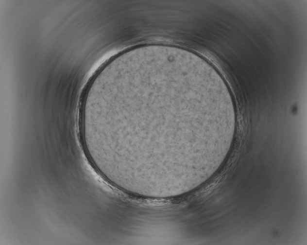 X0000116031147200912111410