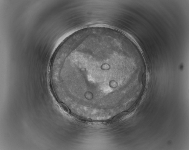 X0000116031149200912111410