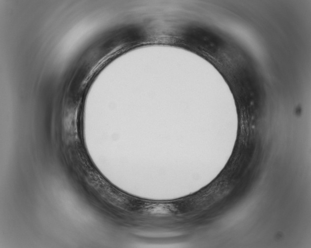 X0000116031150200912111410