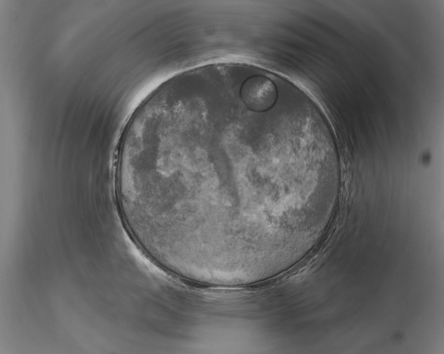 X0000116031151200912111410