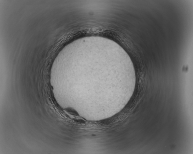 X0000116031153200912111409