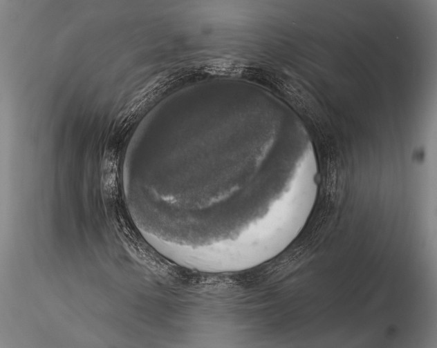 X0000116031154200912111409