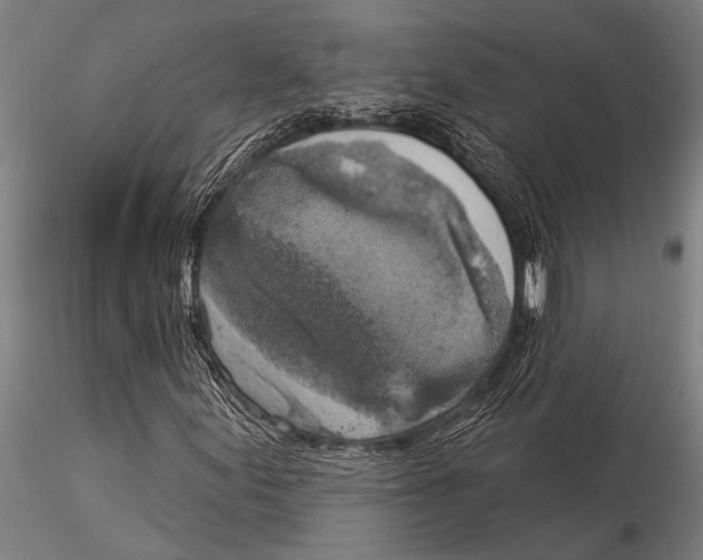 X0000116031155200912111409