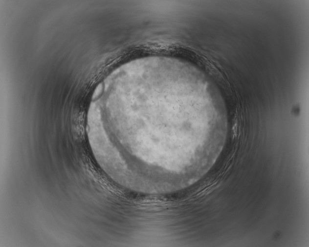 X0000116031156200912111409