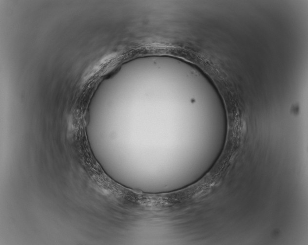 X0000116031157200912111409