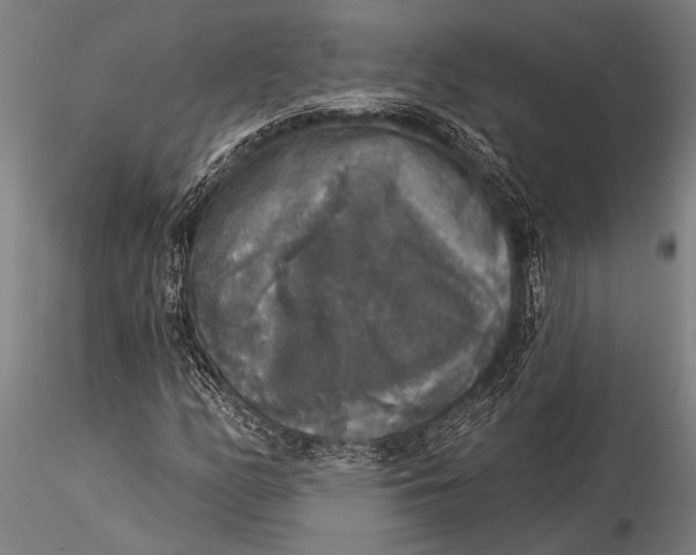 X0000116031158200912111409