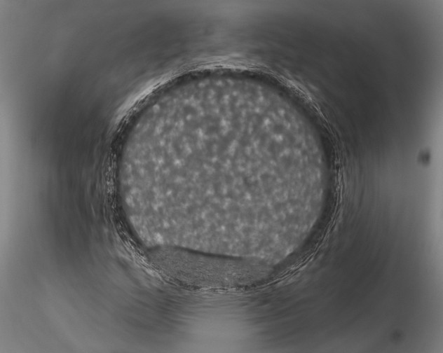 X0000116031159200912111409