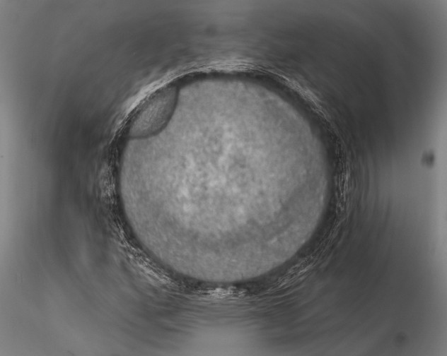 X0000116031160200912111409