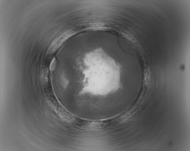 X0000116031161200912111409