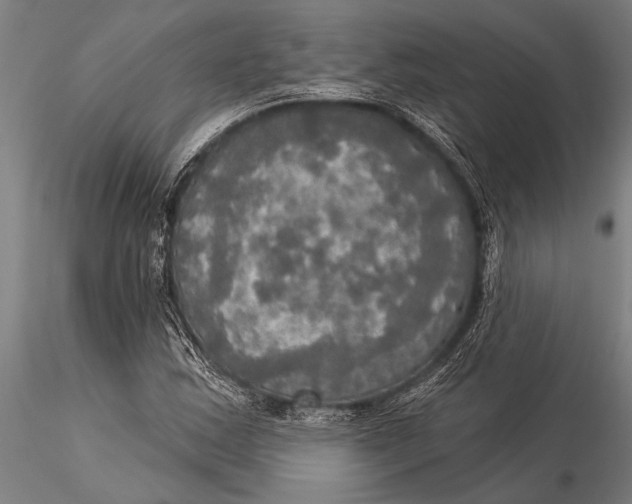 X0000116031163200912111409