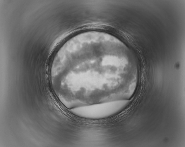 X0000116031164200912111409