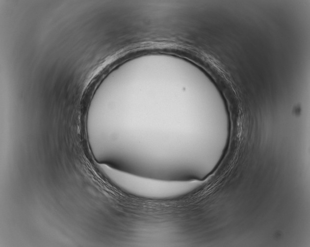 X0000116031165200912111409