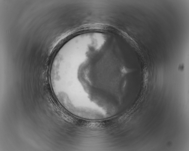 X0000116031166200912111409