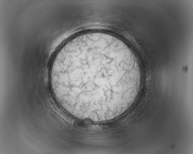 X0000116031167200912111409