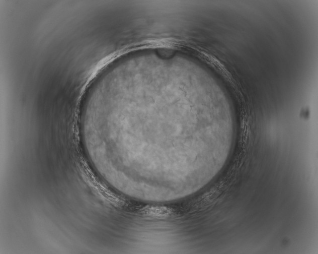 X0000116031168200912111409