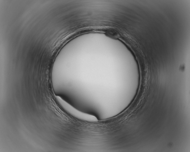 X0000116031169200912111409