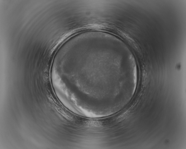 X0000116031170200912111409