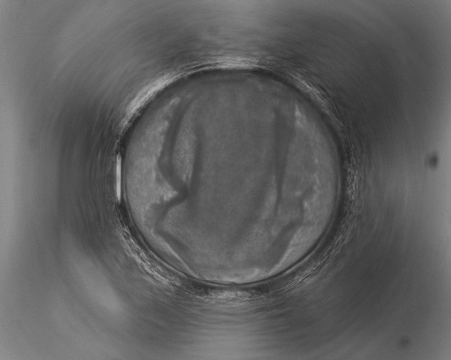 X0000116031171200912111409