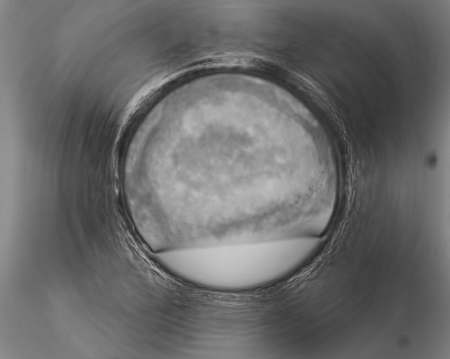 X0000116031172200912111409