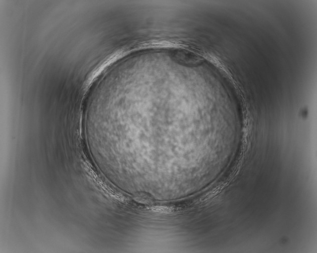 X0000116031173200912111409