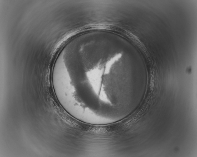 X0000116031174200912111409