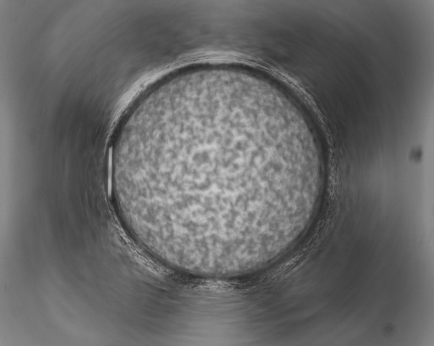 X0000116031175200912111409