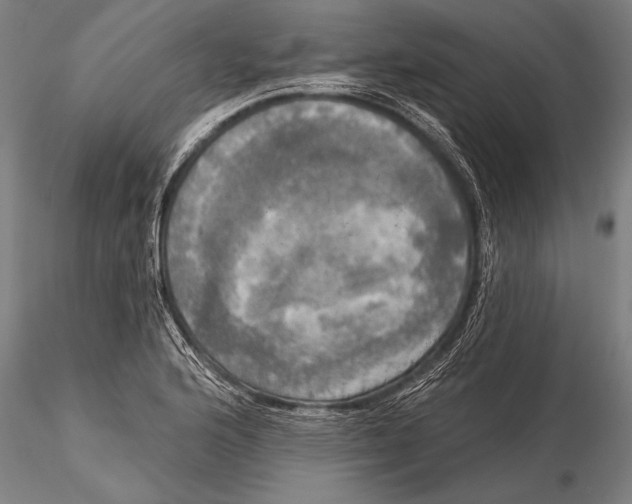 X0000116031176200912111409