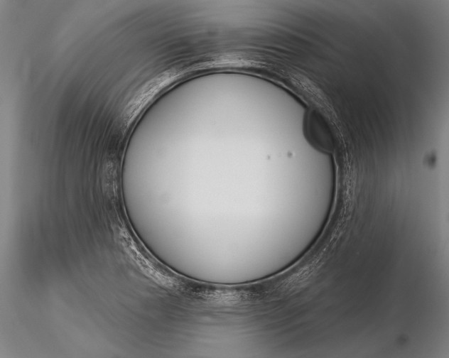 X0000116031177200912111409