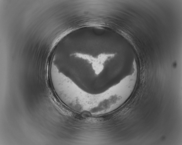 X0000116031179200912111409