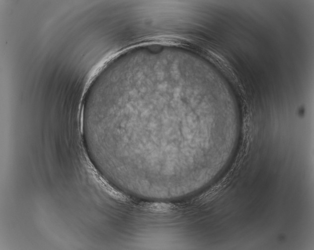 X0000116031180200912111409