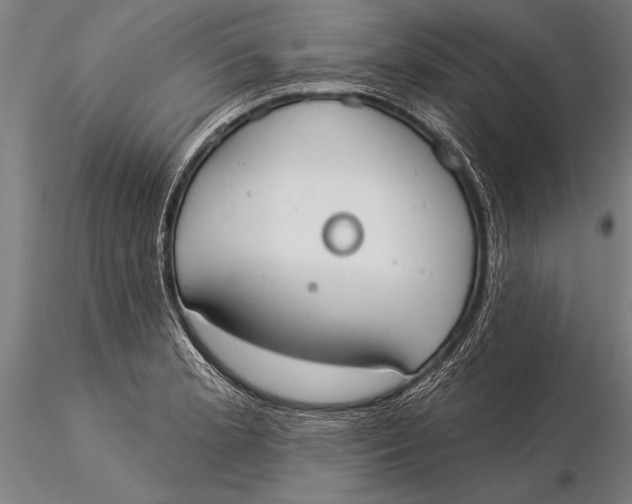 X0000116031181200912111409