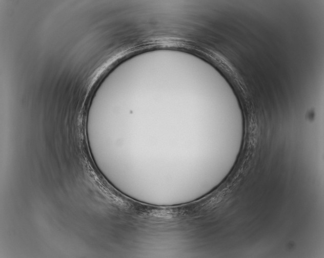 X0000116031182200912111409