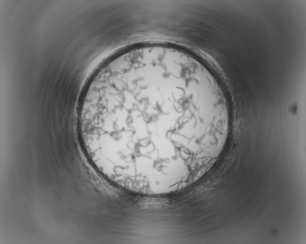 X0000116031183200912111409