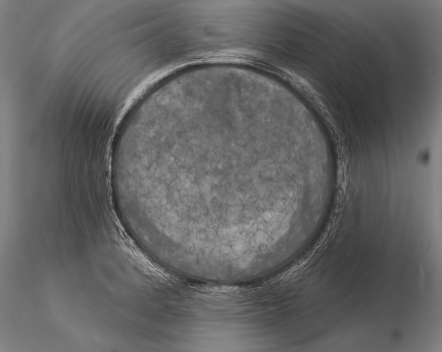 X0000116031184200912111409