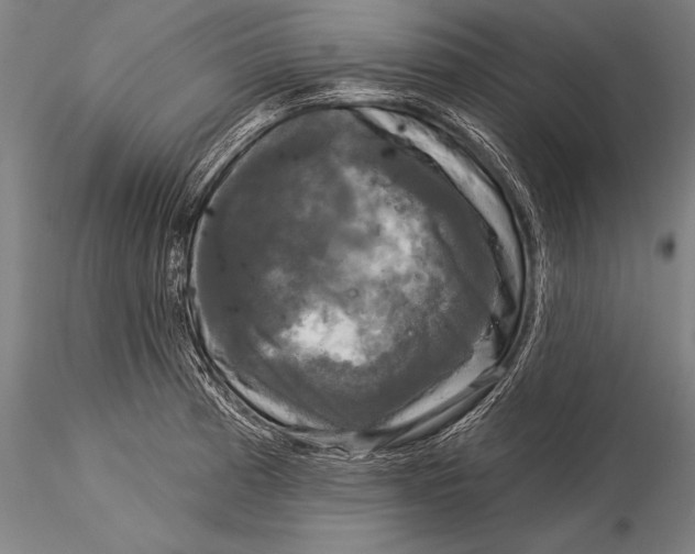 X0000116031185200912111408