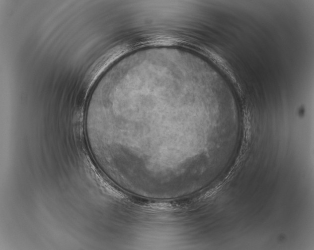 X0000116031186200912111408