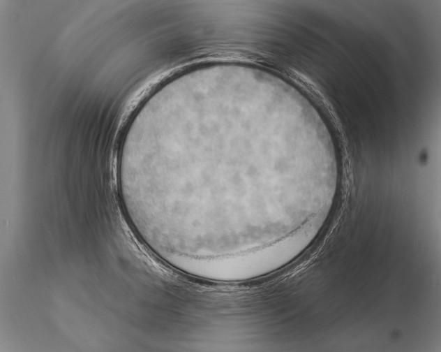 X0000116031188200912111408