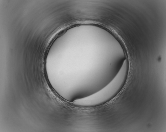 X0000116031189200912111408