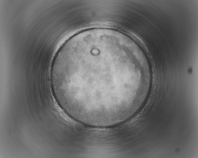 X0000116031192200912111408