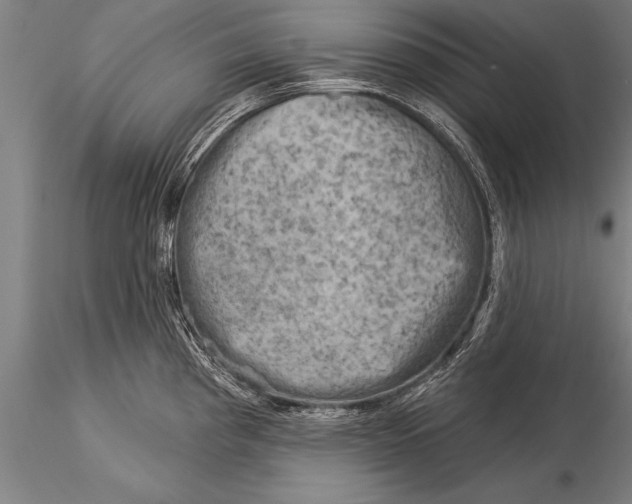 X0000116031193200912111408