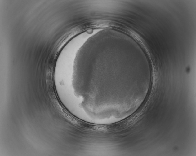 X0000116031194200912111408