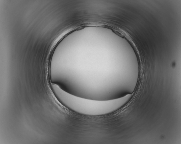 X0000116031195200912111408