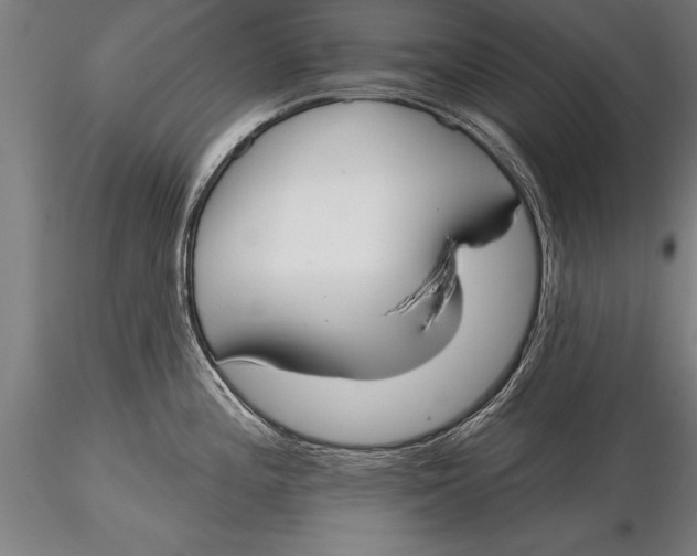 X0000116031196200912111408