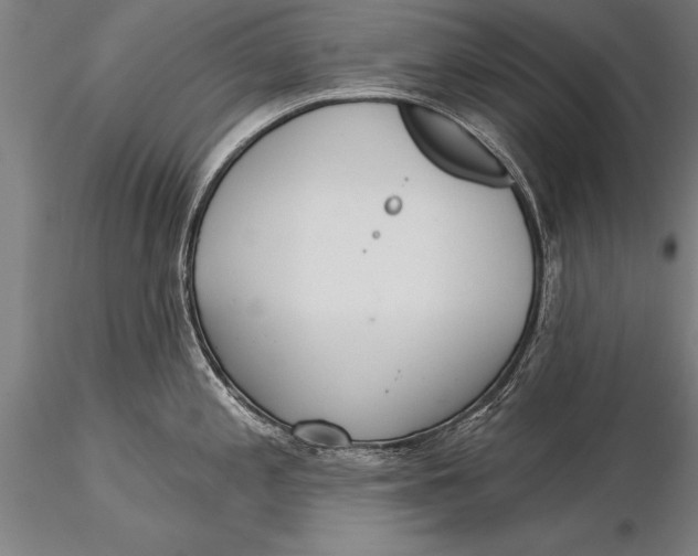 X0000116031197200912111408