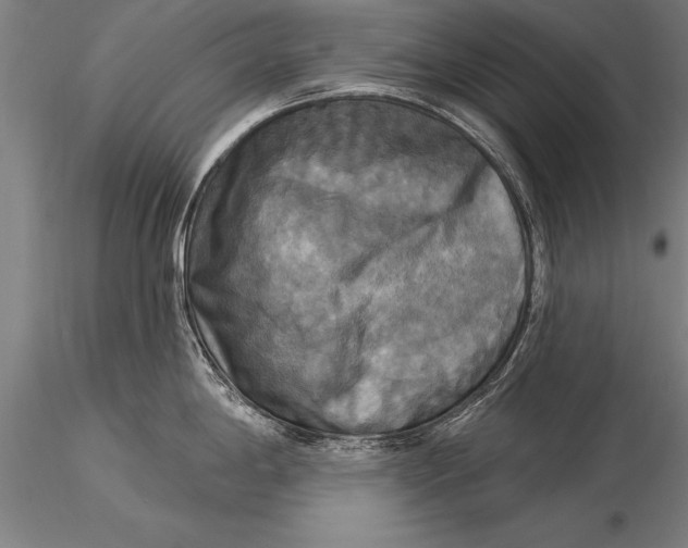 X0000116031198200912111408