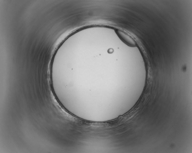 X0000116031199200912111408