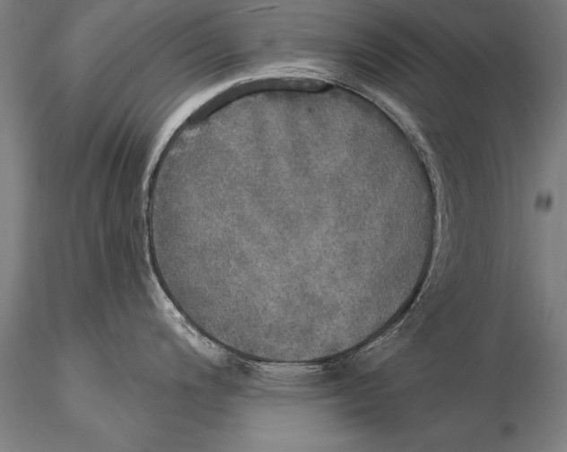 X0000116031200200912111408