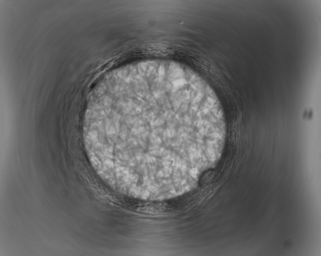 X0000116031201200912111408