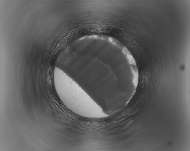 X0000116031202200912111408