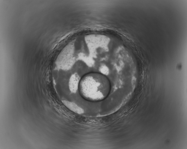 X0000116031205200912111408